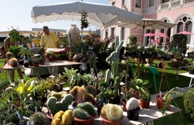 Extraordinary Plants Festival